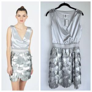 NWT Le Voliere Italy Silver Wrap Style Sleeveless Dress w Embellished Skirt XS
